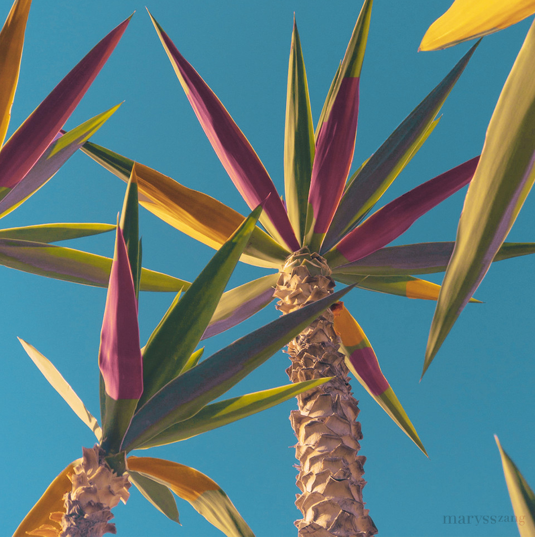 Up like palms @marysszang