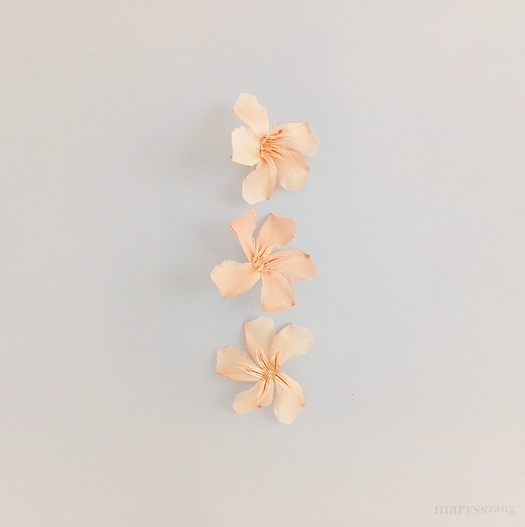 Delicate @marysszang