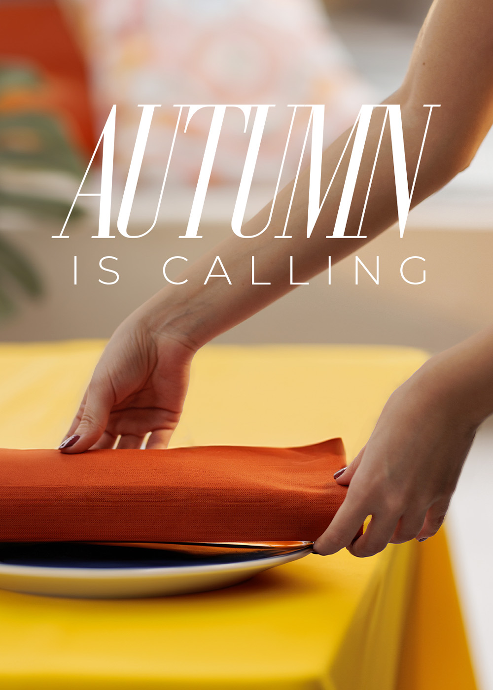 Identity typography details and layout accents.