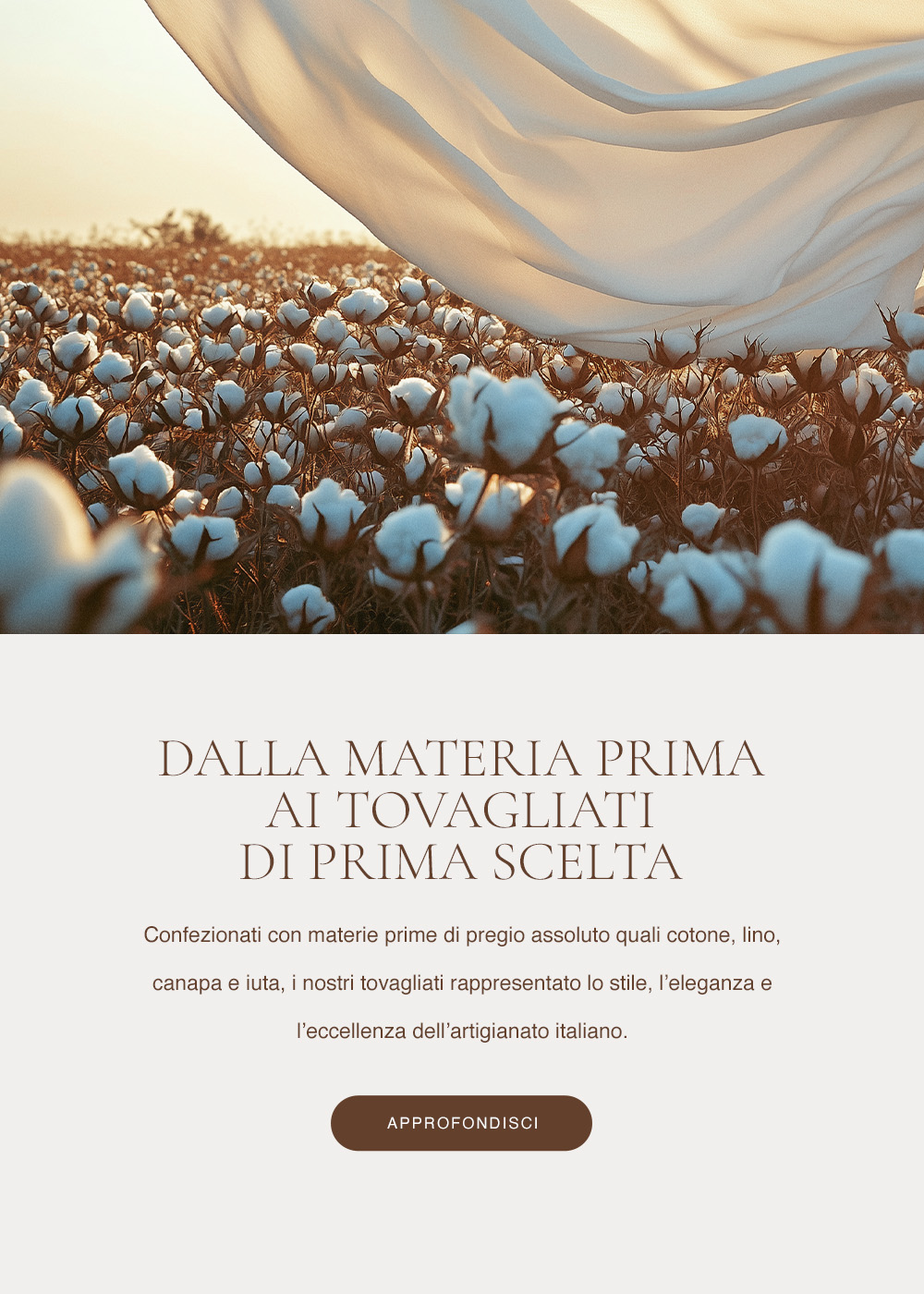 Website navigation and information architecture preview.