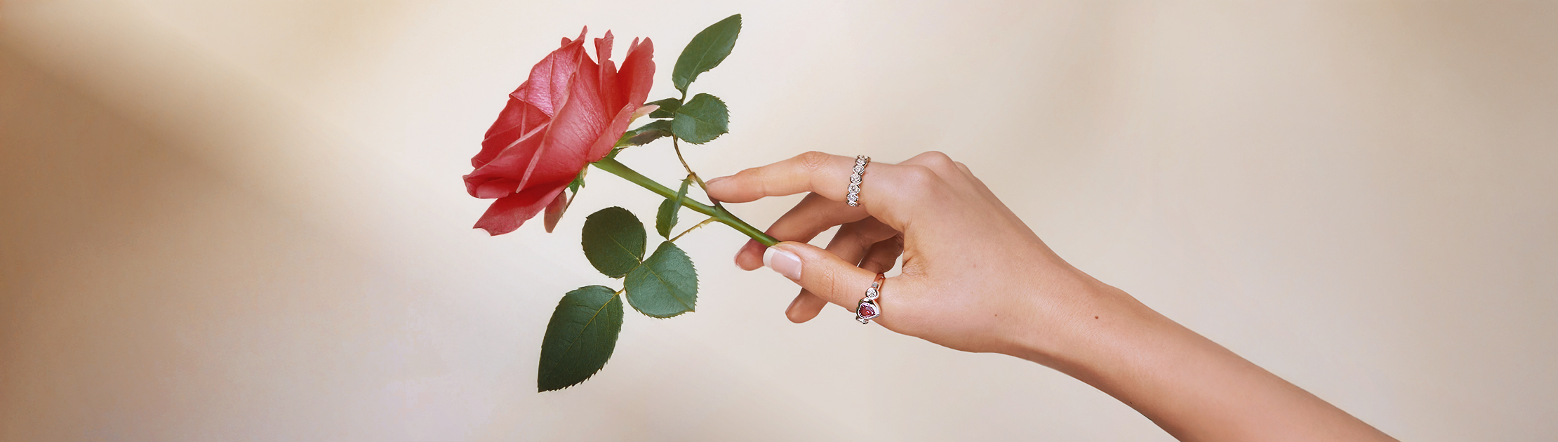 Wide editorial scene expressing Schreiber’s ‘creations of light’ concept through atmosphere and highlights.